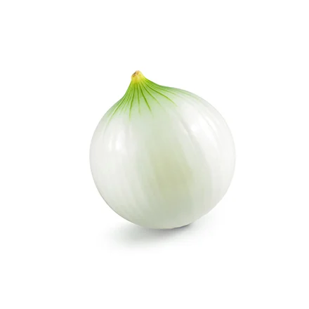 Cebolla