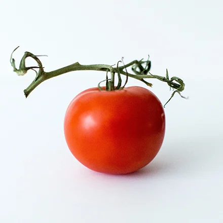Tomate